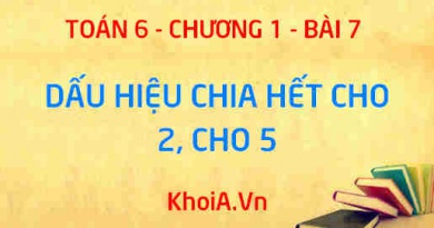 Dấu hiệu chia hết cho 2, dấu hiệu chia hết cho 5 - Lý thuyết Toán 6 bài 7